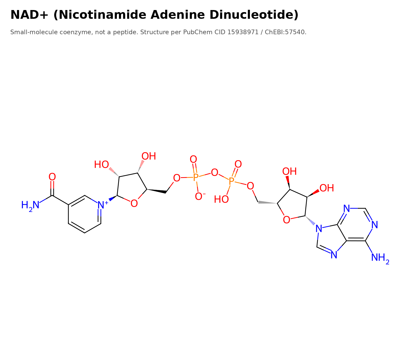 Molecular structure of NAD+